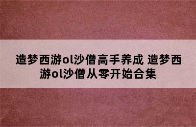 造梦西游ol沙僧高手养成 造梦西游ol沙僧从零开始合集